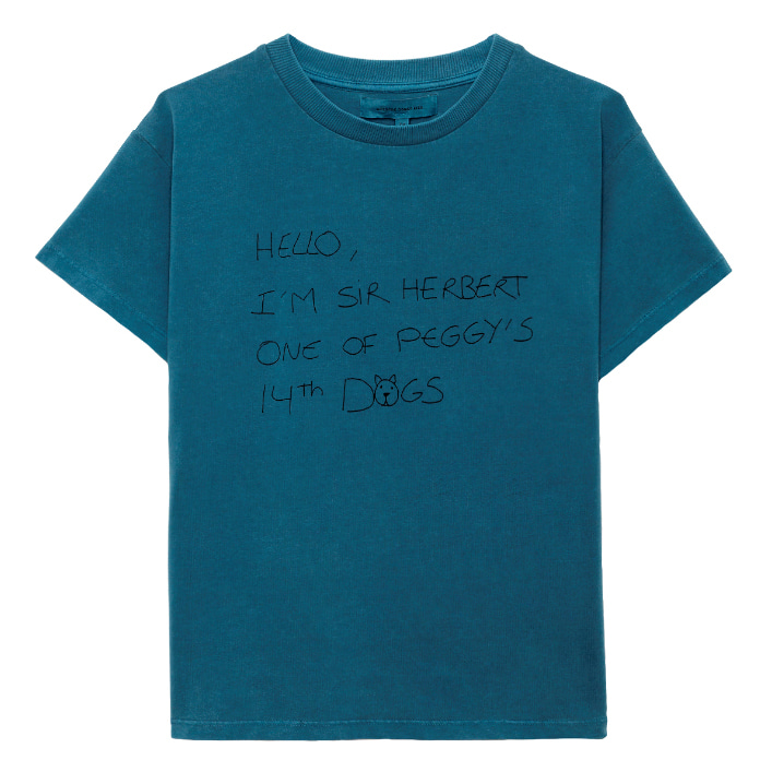 herbert t-shirt-turquoise-50%