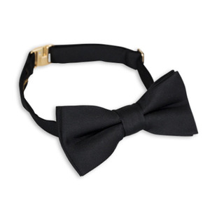 Bow Tie-black